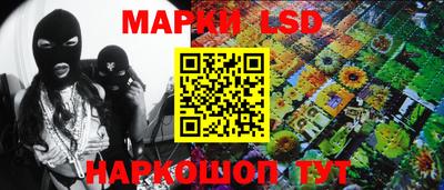 гашик Дмитров