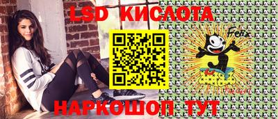 гашик Дмитров