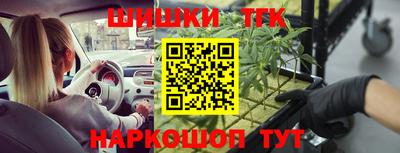 гашик Дмитров