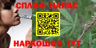 гашик Дмитров
