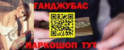гашик Дмитров